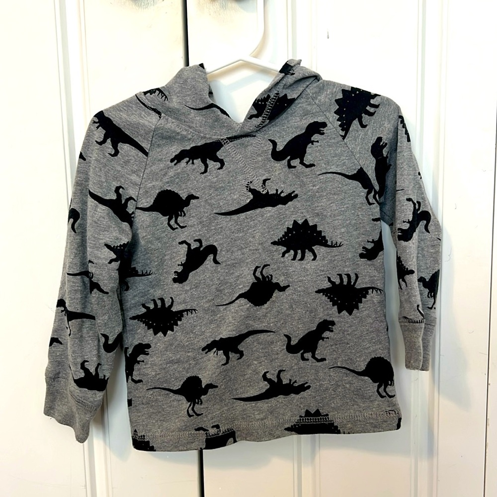 Toddler boys tee short hoodie with dinosaurs.